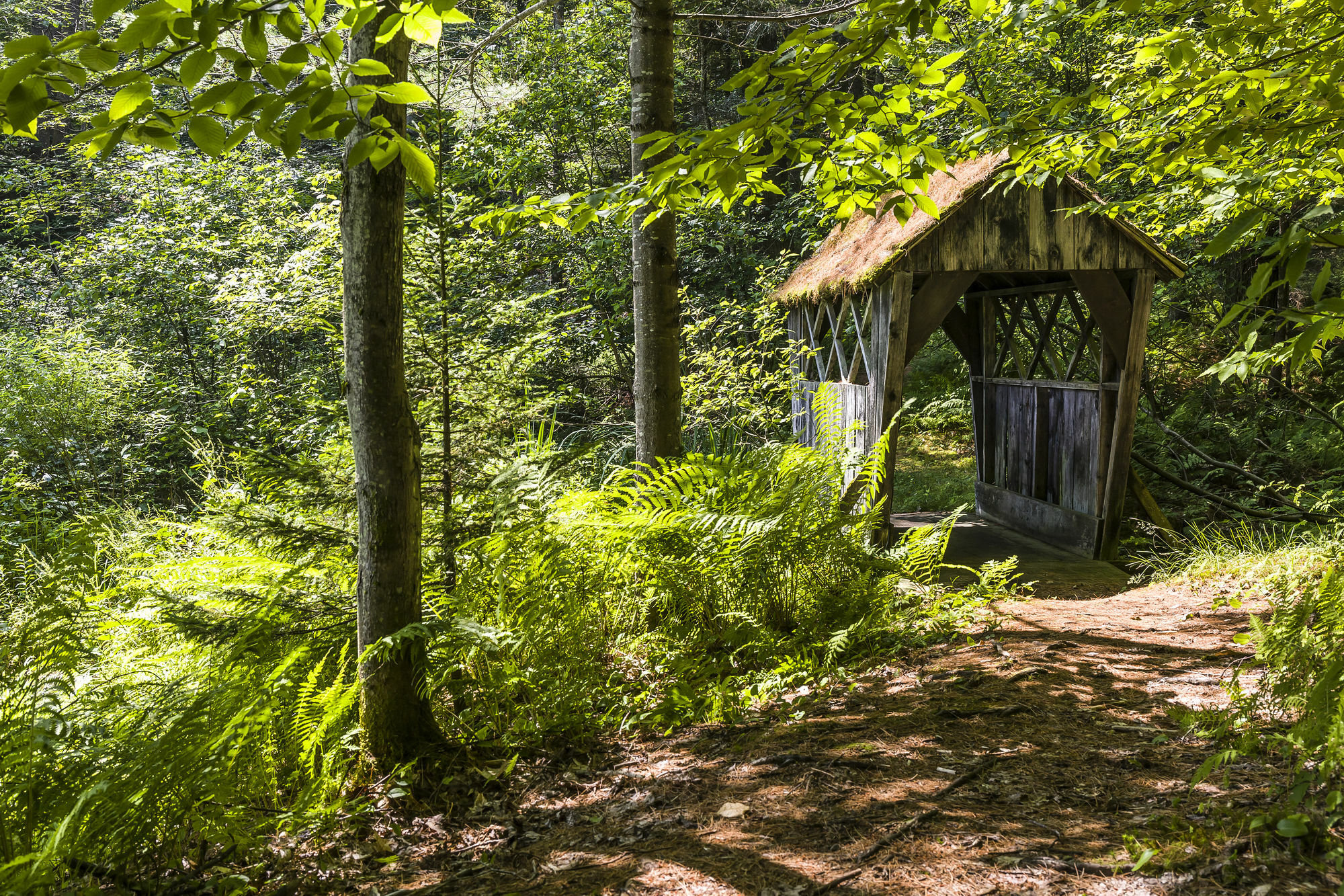 Bluebird Cady Hill Lodge 斯托 外观 照片